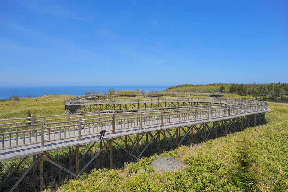 An elevated wooden boardwalk crossing greenery toward views of the sea