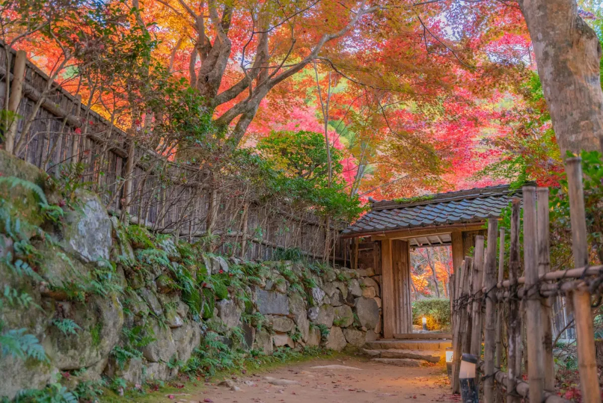 Rustic gate framed by red autumn maples at Kyorinbo
