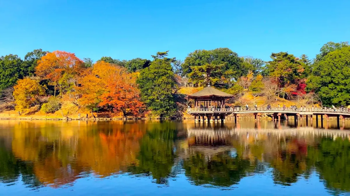 Ukimido pavilion reflected in an autumn pond at Nara Park