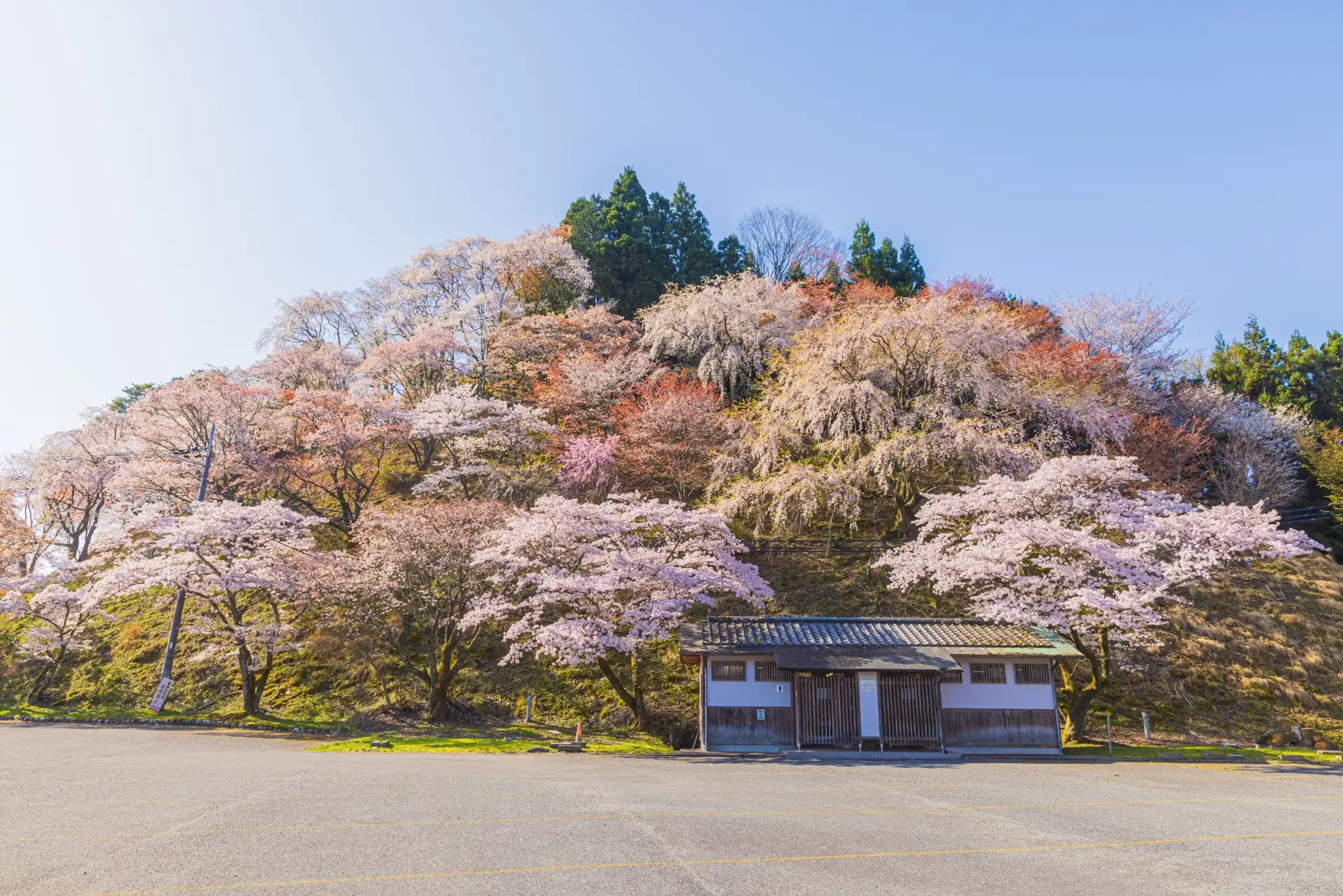 What to Wear in Japan in Spring: March, April & May Packing Guide