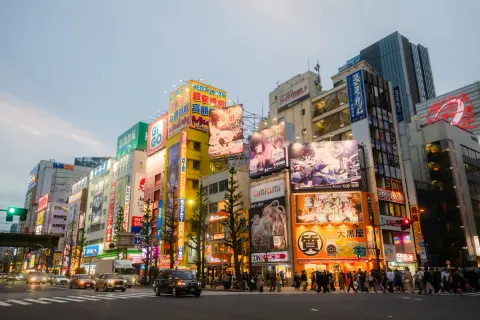The neon anime and electronics signs of Akihabara at dusk