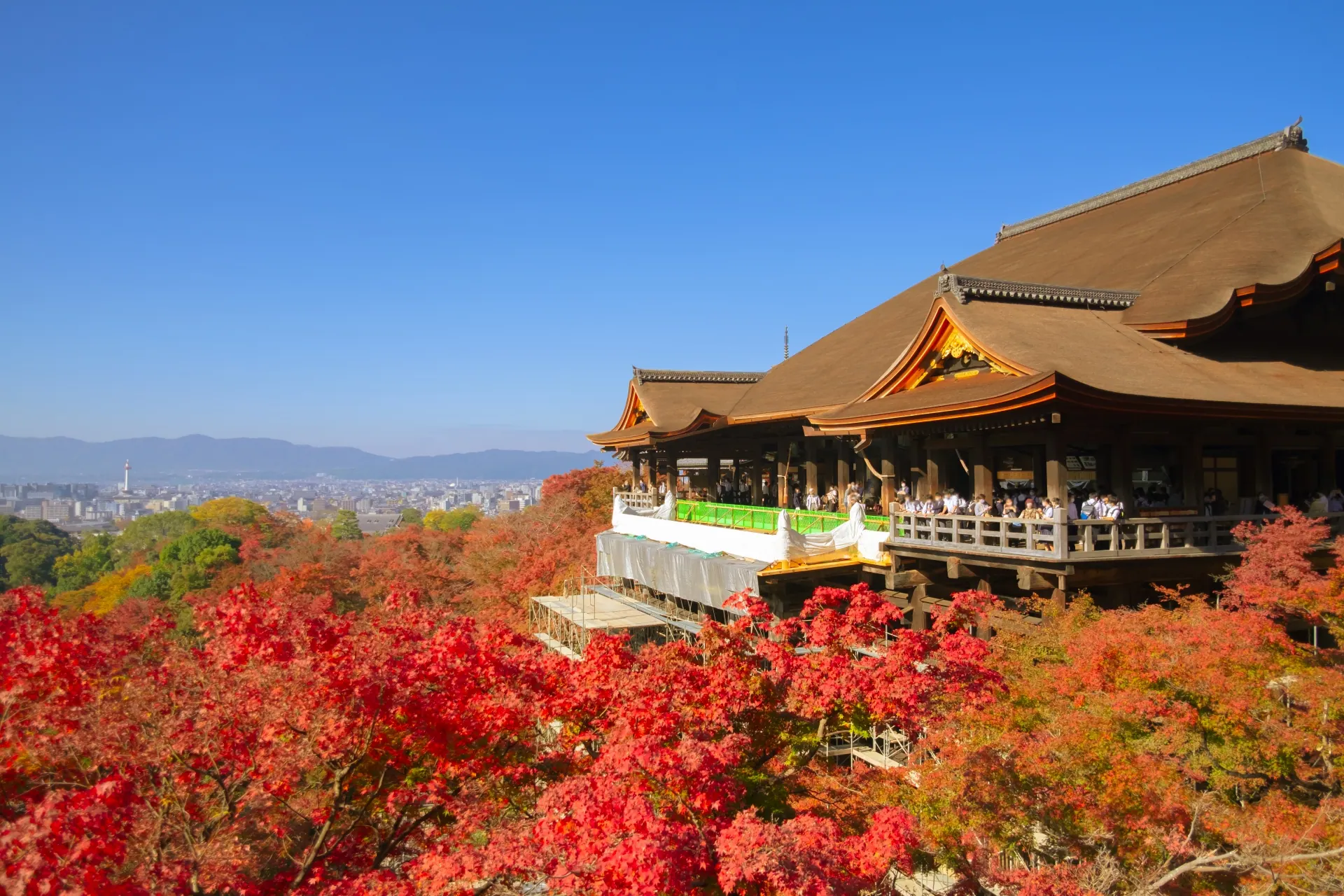 Kiyomizu-dera above red autumn foliage in Kyoto