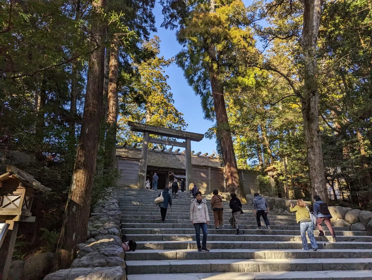 Visitors on the stone steps below Naiku's sanctuary entrance, framed by tall trees and a wooden torii