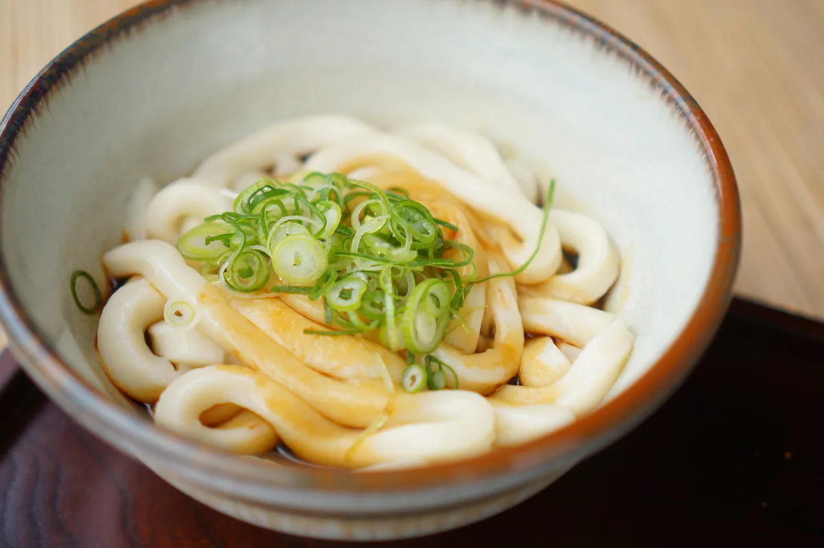 A bowl of thick Ise udon noodles topped with sliced green onions