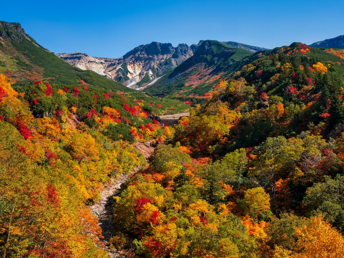 High mountain slopes covered in red, orange and yellow autumn foliage under a blue sky