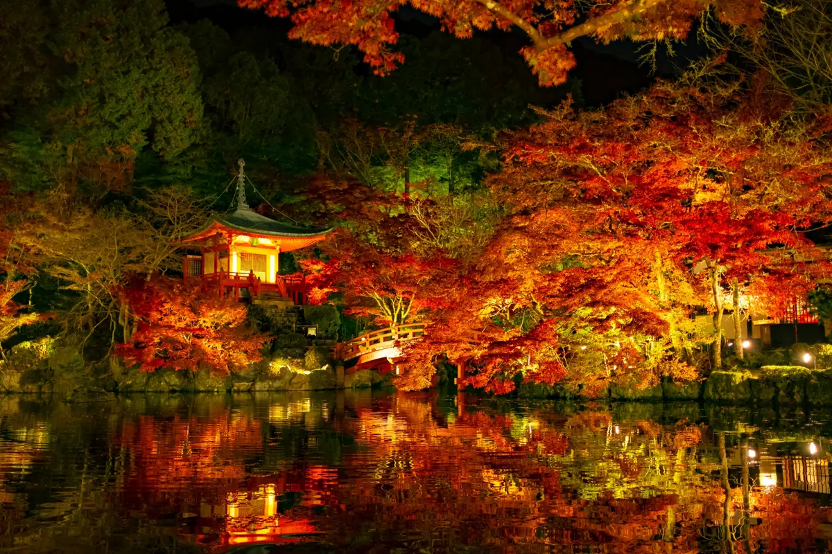Illuminated red and orange autumn foliage reflected in a pond at night