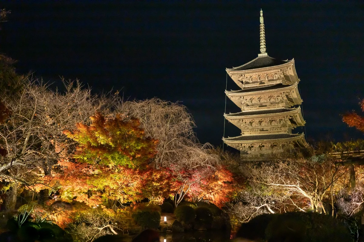 An illuminated five-story pagoda rises above autumn trees at Toji at night.