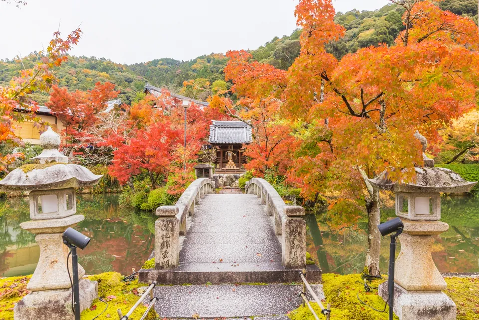 A stone bridge leads toward a small tiled structure between stone lanterns, orange maple leaves and a pond at Eikando.