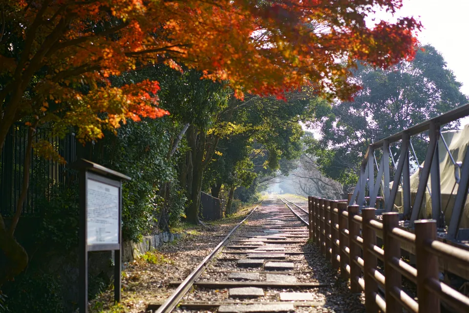 Preserved rails lead into the distance beneath autumn leaves at Keage Incline in Kyoto.