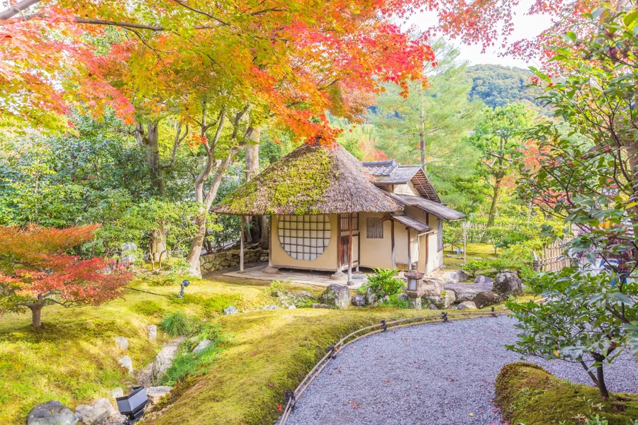 Orange and red maple leaves above a thatched teahouse with a circular window and moss-covered ground at Kodai-ji.