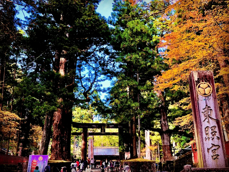 A Toshogu stone marker and torii stand among cedar trees and autumn leaves.