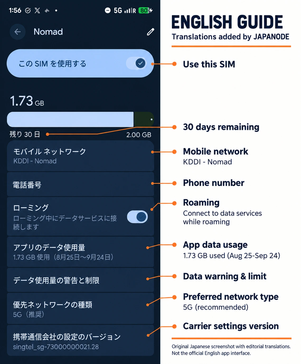 Pixel mobile-network settings showing the travel eSIM on KDDI, with 5G and data roaming enabled