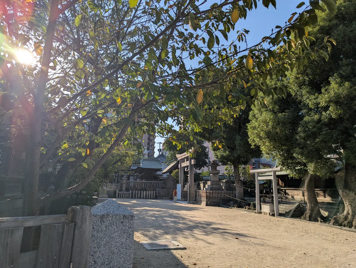 A shaded path, trees and smaller shrine structures at Osaka Tenmangu