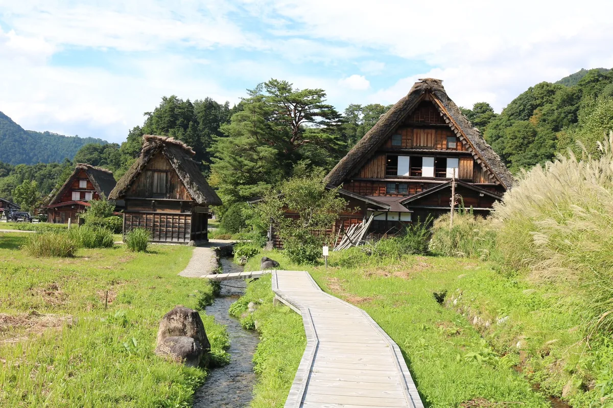 A paved path leading toward thatched houses and tall grasses in Shirakawa-go